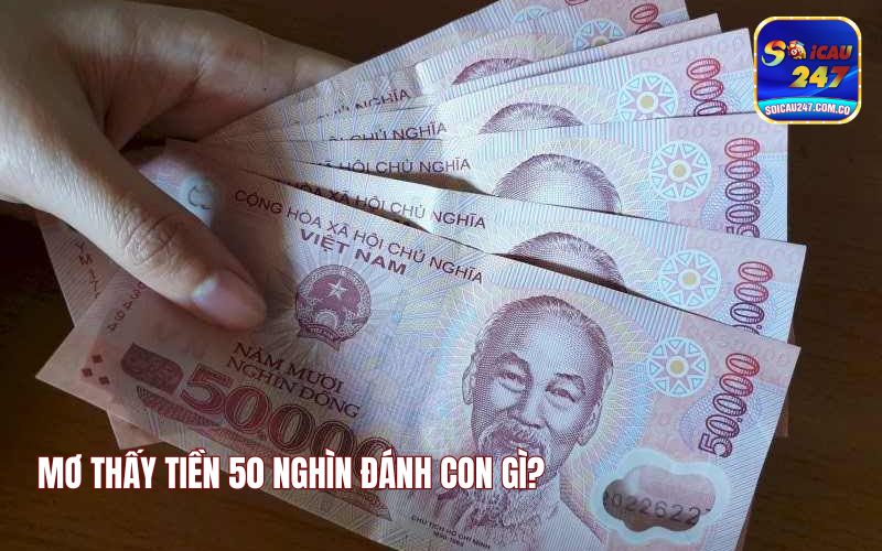 Giải Mã Nằm Ngủ Mơ Thấy Tiền 50 Nghìn Đánh Con Gì? 