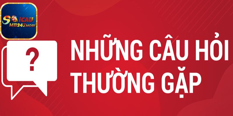 Kết Quả Xổ Số 3 Miền Cập Nhật Nhanh Chóng Cùng Soi Cầu 247