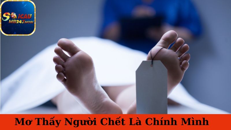 Mơ Thấy Người Chết Và Những Lý Giải Chi Tiết Về Giấc Mơ Này