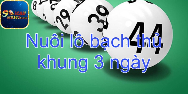 Phương Pháp Nuôi Lô Khung 3 Ngày Bất Bại Nhất Từ Chuyên Gia 